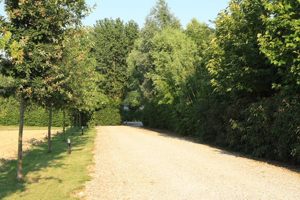 Agriturismo B&B Il Girasole Oriago di Mira Eksteriør billede